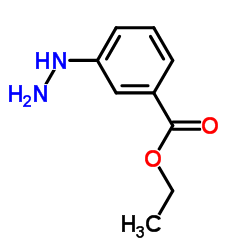 Ethyl 3-hydrazinobenzoate picture