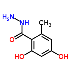 2,4-Dihydroxy-6-methylbenzohydrazide Structure