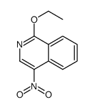 1-Ethoxy-4-nitroisoquinoline structure