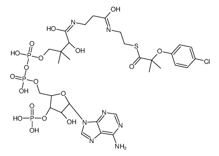 S-[2-[3-[[(2R)-4-[[[(2R,3S,4R,5R)-5-(6-aminopurin-9-yl)-4-hydroxy-3-phosphonooxyoxolan-2-yl]methoxy-hydroxyphosphoryl]oxy-hydroxyphosphoryl]oxy-2-hydroxy-3,3-dimethylbutanoyl]amino]propanoylamino]ethyl] 2-(4-chlorophenoxy)-2-methylpropanethioate结构式