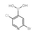 2-bromo-5-chloropyridine-4-boronic acid picture