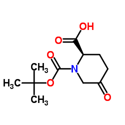 (2R)-1-{[(2-Methyl-2-propanyl)oxy]carbonyl}-5-oxo-2-piperidinecarboxylic acid structure