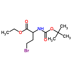 Ethyl 4-bromo-2-({[(2-methyl-2-propanyl)oxy]carbonyl}amino)butanoate picture