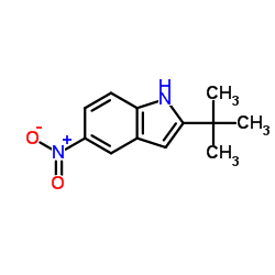 2-叔丁基-5-硝基吲哚结构式
