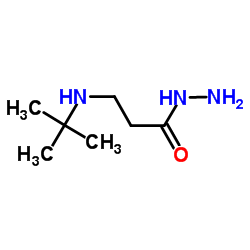 3-[(2-Methyl-2-propanyl)amino]propanehydrazide Structure