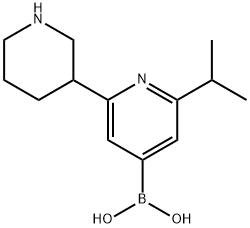 2-(iso-Propyl)-6-(piperidin-3-yl)pyridine-4-boronic acid picture