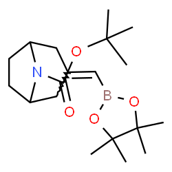 叔丁基 3-(((4,4,5,5-四甲基-1,3,2-二氧杂硼烷结构式