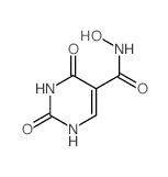 N-hydroxy-2,4-dioxo-1H-pyrimidine-5-carboxamide结构式