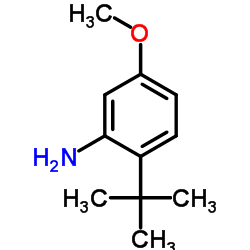 5-Methoxy-2-(2-methyl-2-propanyl)aniline结构式