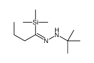 2-methyl-N-(1-trimethylsilylbutylideneamino)propan-2-amine Structure