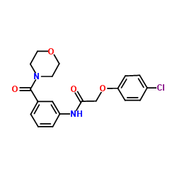 2-(4-Chlorophenoxy)-N-[3-(4-morpholinylcarbonyl)phenyl]acetamide结构式