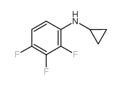 n-cyclopropyl-2,3,4-trifluoroaniline Structure