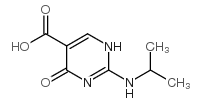 5-Pyrimidinecarboxylic acid, 1,4-dihydro-2-[(1-methylethyl)amino]-4-oxo- (9CI) Structure