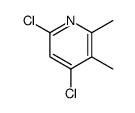 4,6-Dichloro-2,3-dimethylpyridine picture