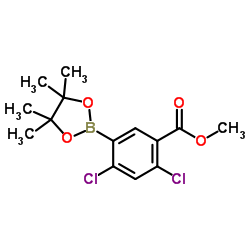 Methyl 2,4-dichloro-5-(4,4,5,5-tetramethyl-1,3,2-dioxaborolan-2-yl)benzoate结构式