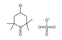 4-chloro-2,2,6,6-tetramethylpiperidin-1-ium 1-oxide,perchlorate Structure