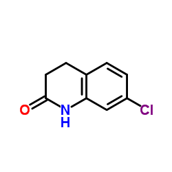 7-氯-3,4-二氢-1H-喹啉-2-酮图片