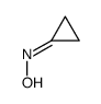 N-cyclopropylidenehydroxylamine结构式