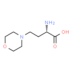(2S)-2-Amino-4-(4-morpholinyl)butanoic acid结构式