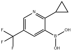 2-(Cyclopropyl)-5-(trifluoromethyl)pyridine-3-boronic acid图片