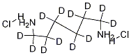 1,6-DiaMinohexane-d12 Dihydrochloride Structure