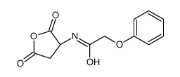 (R)-N-(2,5-DIOXOTETRAHYDROFURAN-3-YL)-2-PHENOXYACETAMIDE结构式