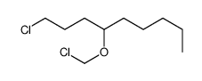 1-chloro-4-(chloromethoxy)nonane Structure