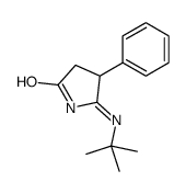 5-(tert-butylamino)-4-phenyl-3,4-dihydropyrrol-2-one Structure