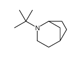 2-Azabicyclo[3.2.1]octane,2-(1,1-dimethylethyl)- picture