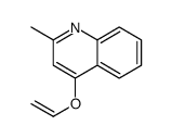 Quinoline, 2-methyl-4-(vinyloxy)- picture