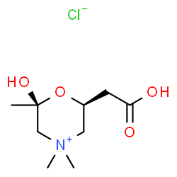 hemiacetylcarnitinium结构式