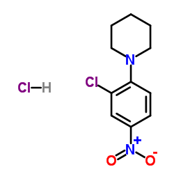 1-(2-CHLORO-4-NITRO-PHENYL)-PIPERIDINE HYDROCHLORIDE structure