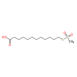 12-[(Methylsulfonyl)sulfanyl]dodecanoic acid Structure