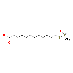 1246819-91-9 structure