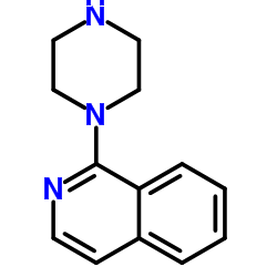 1-Piperazine-1-yl-isoquinoline Structure