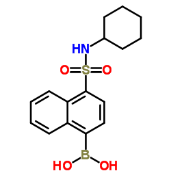 (4-(N-cyclohexylsulfamoyl)naphthalen-1-yl)boronic acid结构式