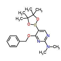 4-BENZYLOXY-2-DIMETHYLAMINO-PYRIMIDINE-5-BORONIC ACID PINACOL ESTER结构式