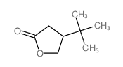 2(3H)-Furanone,4-(1,1-dimethylethyl)dihydro- structure