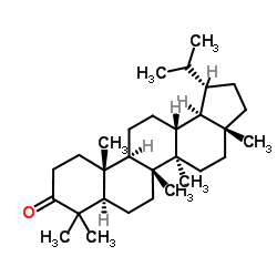 Lupan-3-one structure