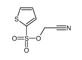 cyanomethyl thiophene-2-sulfonate结构式