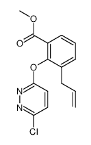 3-allyl-2-(6-chloro-pyridazin-3-yloxy)-benzoic acid methyl ester结构式