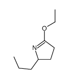 5-ethoxy-2-propyl-3,4-dihydro-2H-pyrrole Structure