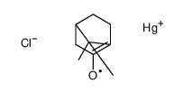 chloro-(7,7-dimethyl-3-oxo-4-bicyclo[2.2.1]heptanyl)mercury Structure