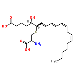 Leukotriene E picture