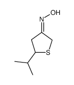 3(2H)-Thiophenone,dihydro-5-(1-methylethyl)-,oxime(9CI) Structure