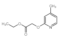 (4-METHYL-PYRIDIN-2-YLOXY)-ACETIC ACID ETHYL ESTER Structure