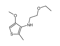 N-(2-ethoxyethyl)-4-methoxy-2-methylthiophen-3-amine结构式