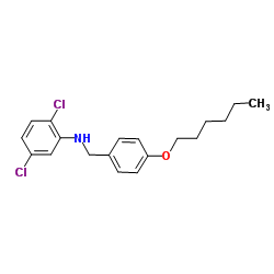 2,5-Dichloro-N-[4-(hexyloxy)benzyl]aniline结构式