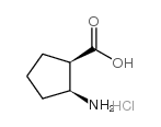 (1R,2S)-(-)-2-Amino-1-cyclopentanecarboxylic acid hydrochloride picture