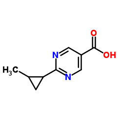 2-(2-Methylcyclopropyl)-5-pyrimidinecarboxylic acid结构式